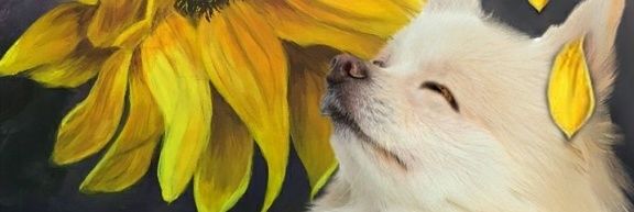 sassy_nach's profile banner image