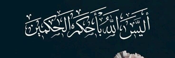 ميرا سمراء 🤎 banner