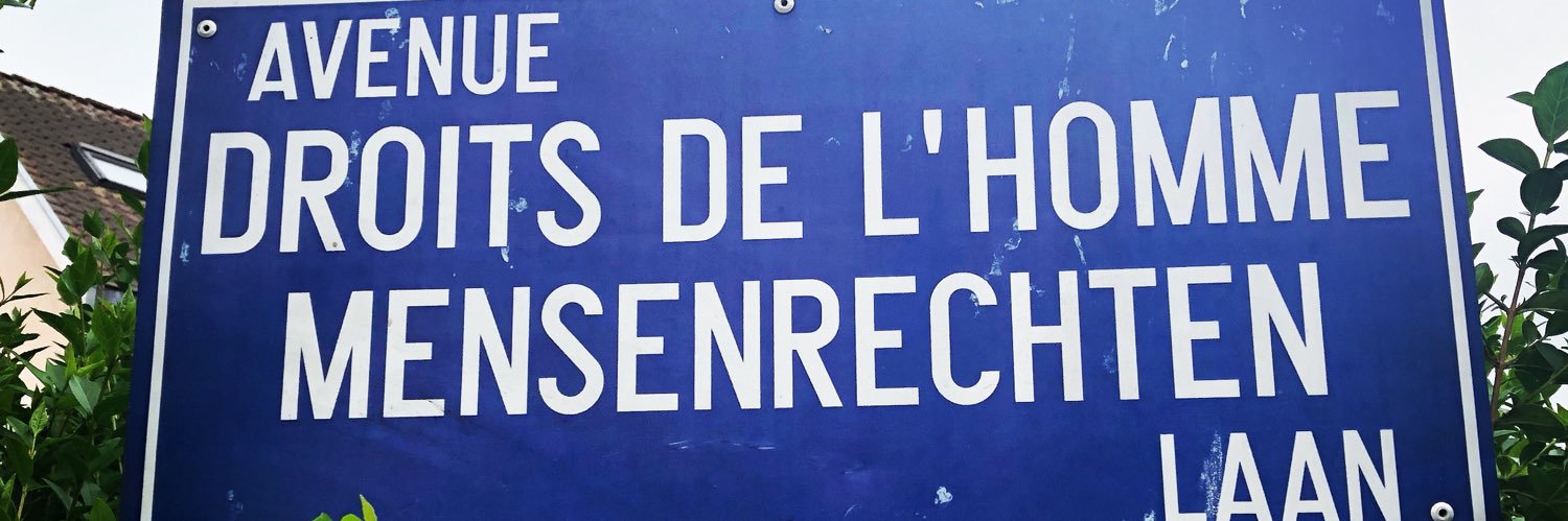 Didier Reynaert banner
