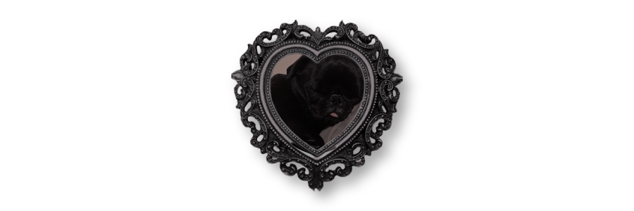 miserystrings's profile banner image