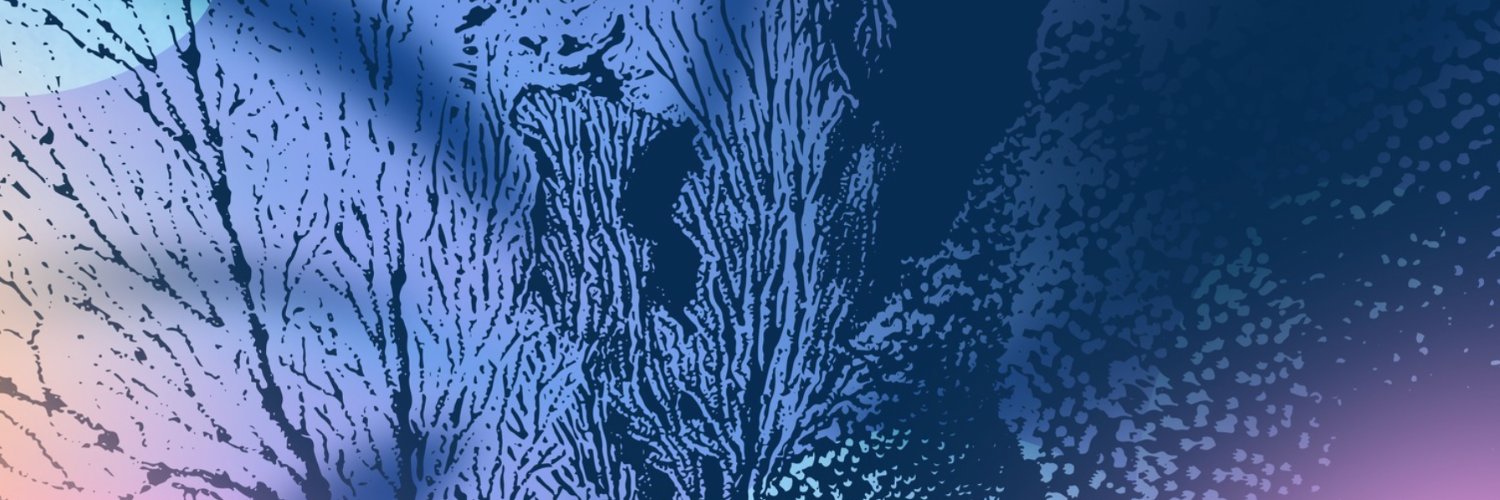 WSL One Ocean banner