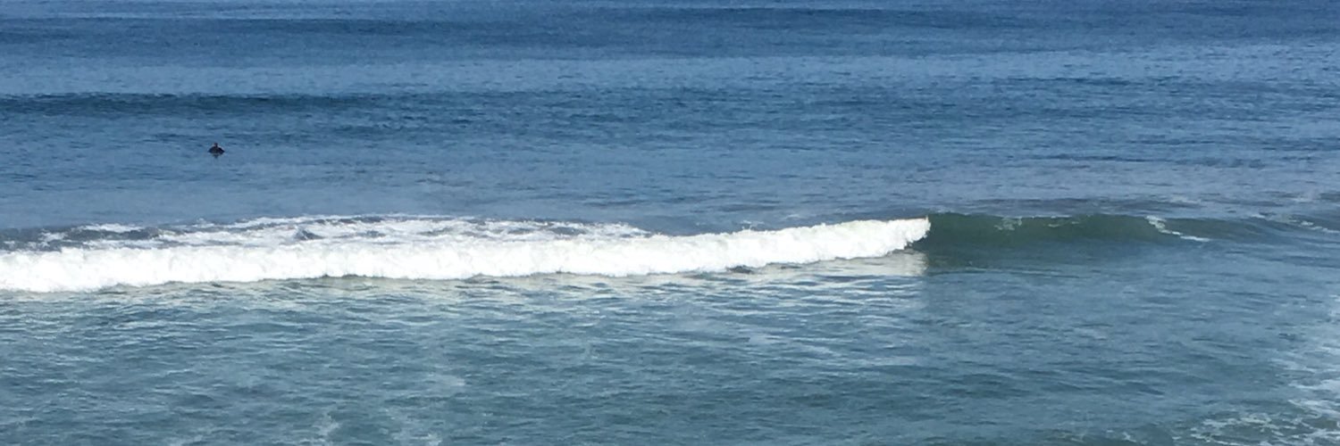 lilwisegal's profile banner image