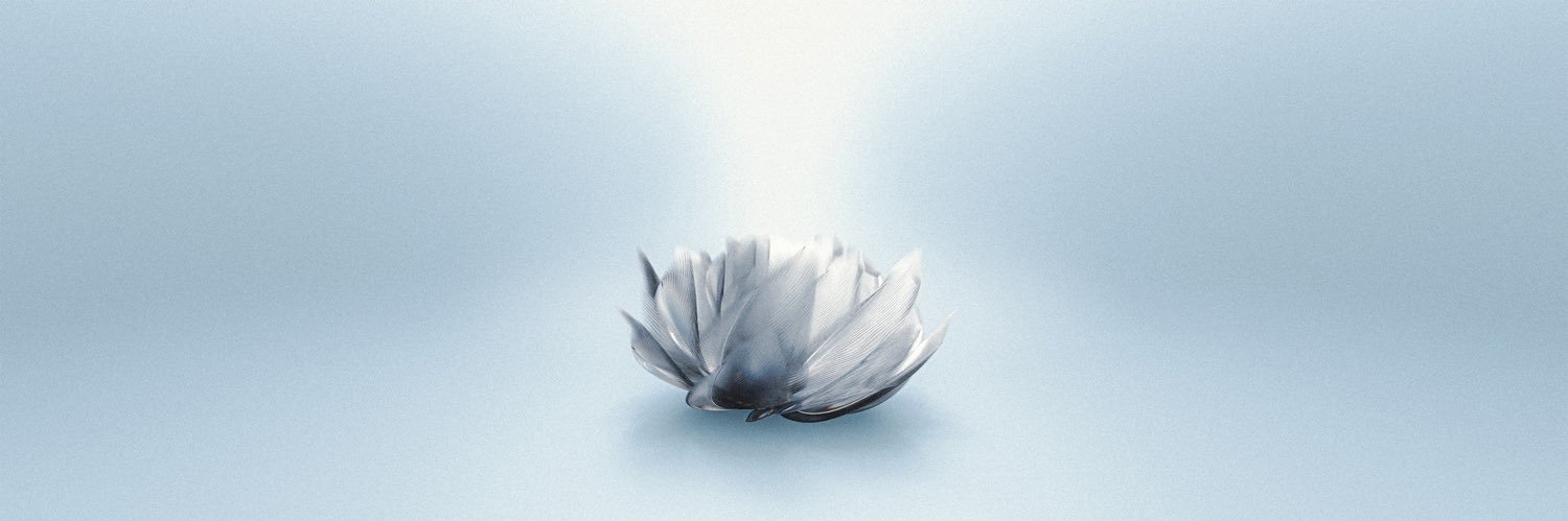 CrowsAlive New Single "FeatherBloom" Out Now's banner