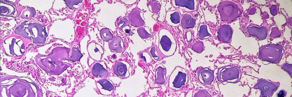 SansanoValero Profile Banner