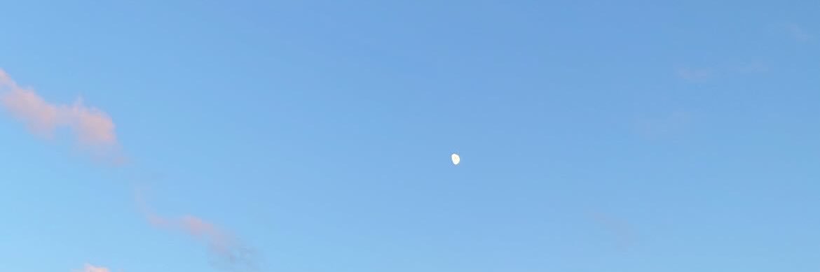 Tasneem Jacobs banner