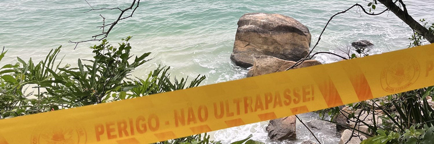 Natália Carvalho banner