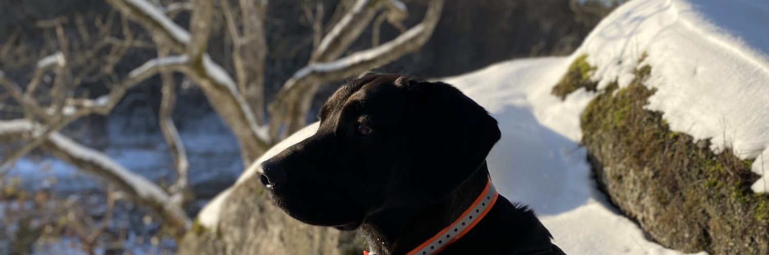 pggriff's profile banner image