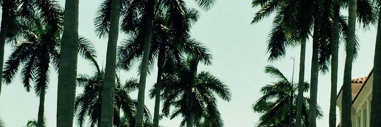 Isis_Liebers's profile banner image