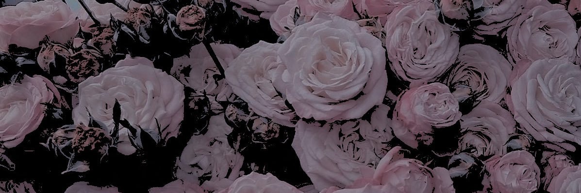 ** ‍ ‍ ‍ ‍ ᴰᴱᴬᴿ 𝚁͟𝙴͟𝙰͟𝙳͟𝙴͟𝚁͟ .ᐟ banner