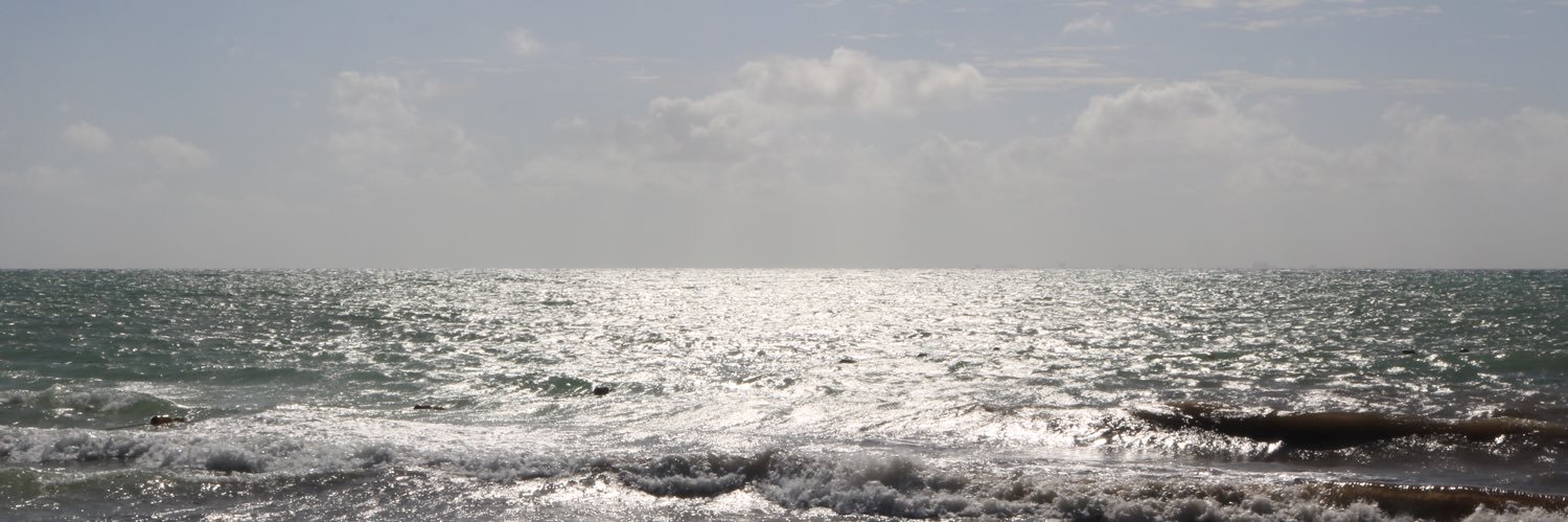 CMPenaskovic's profile banner image