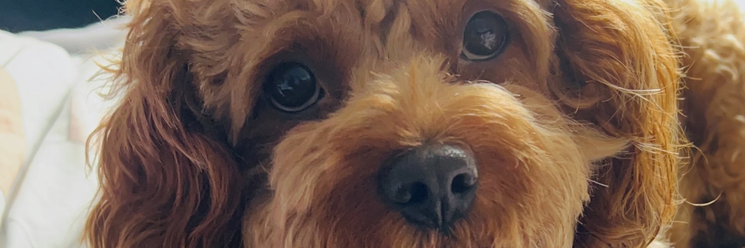 natawalk25's profile banner image