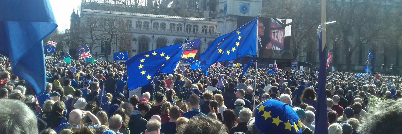 Franannigans Davies Ultra Remainer banner