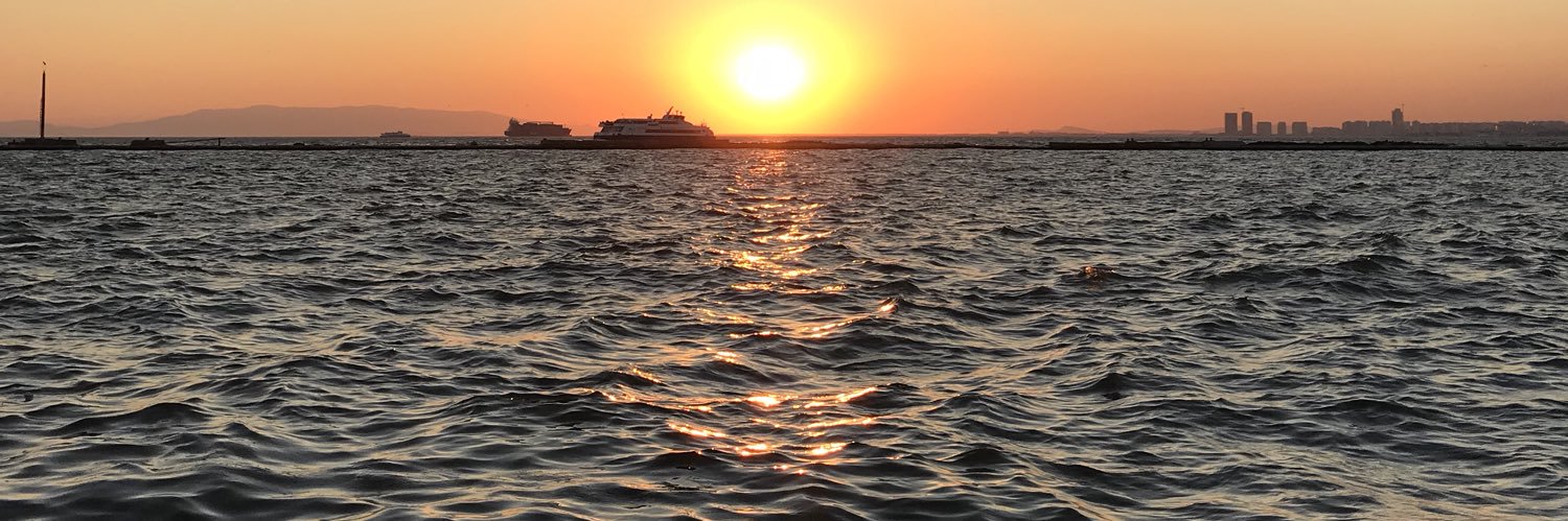 VediSaitoglu's profile banner image