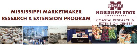 MS_MarketMaker's profile banner image