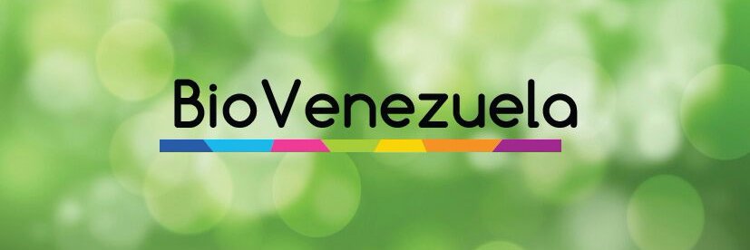 vzlabio's profile banner image