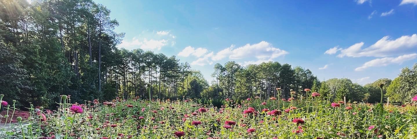 Dr. Amy Baeder banner