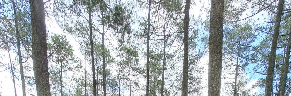 uchiitt's profile banner image