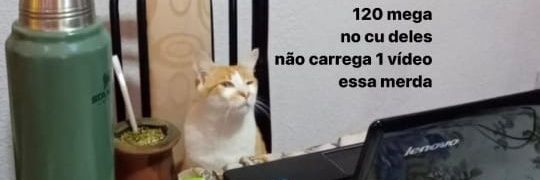 pedropuredo's profile banner image