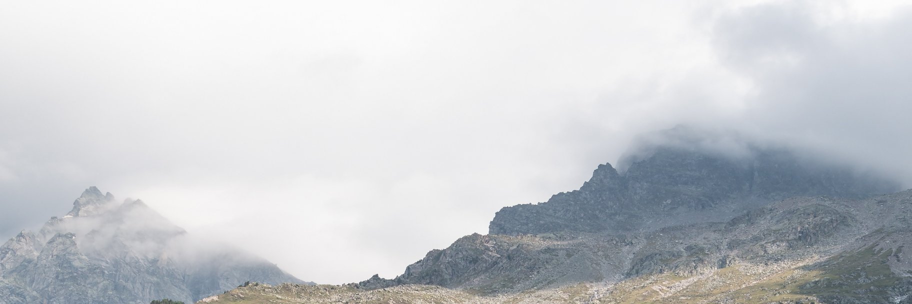 AlexNorell's profile banner image