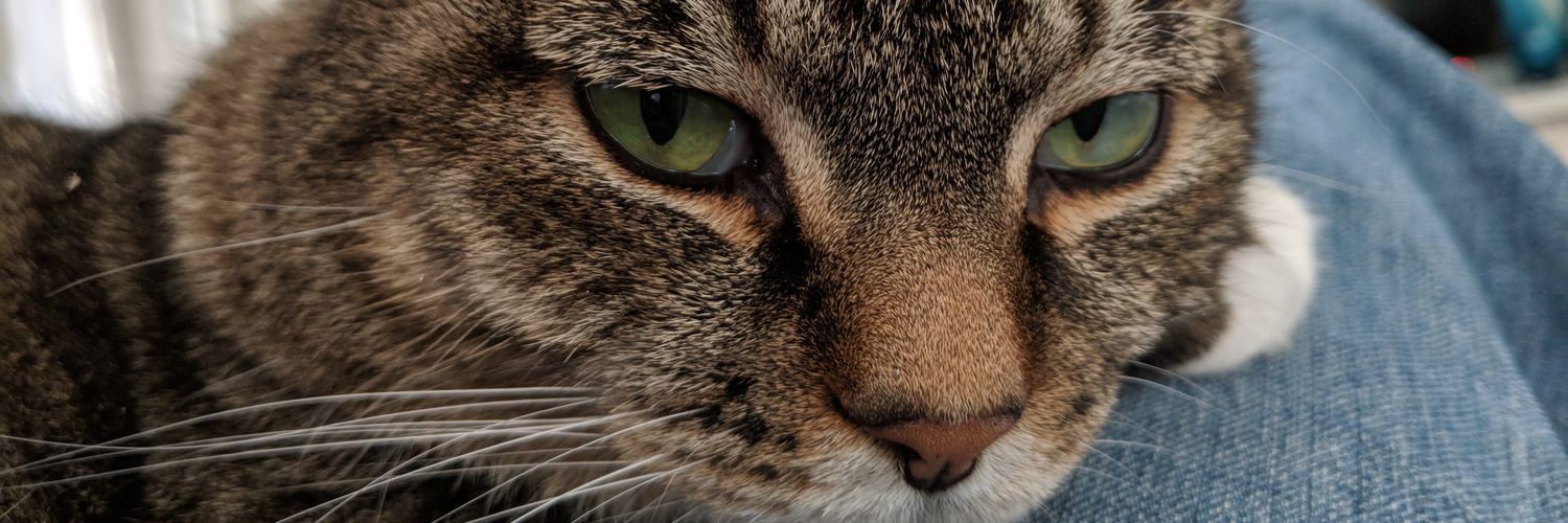 jonp67's profile banner image