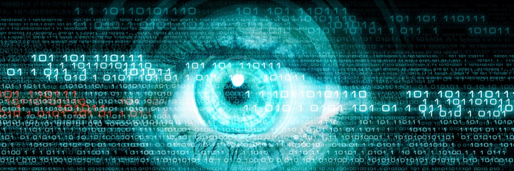 Señor A 🇪🇸 🇮🇨 🦉 banner