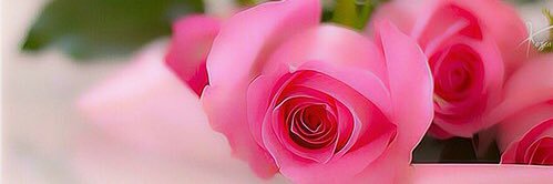 ربي أسالك توووفيقا يلازم خطاي🕊🍃 banner