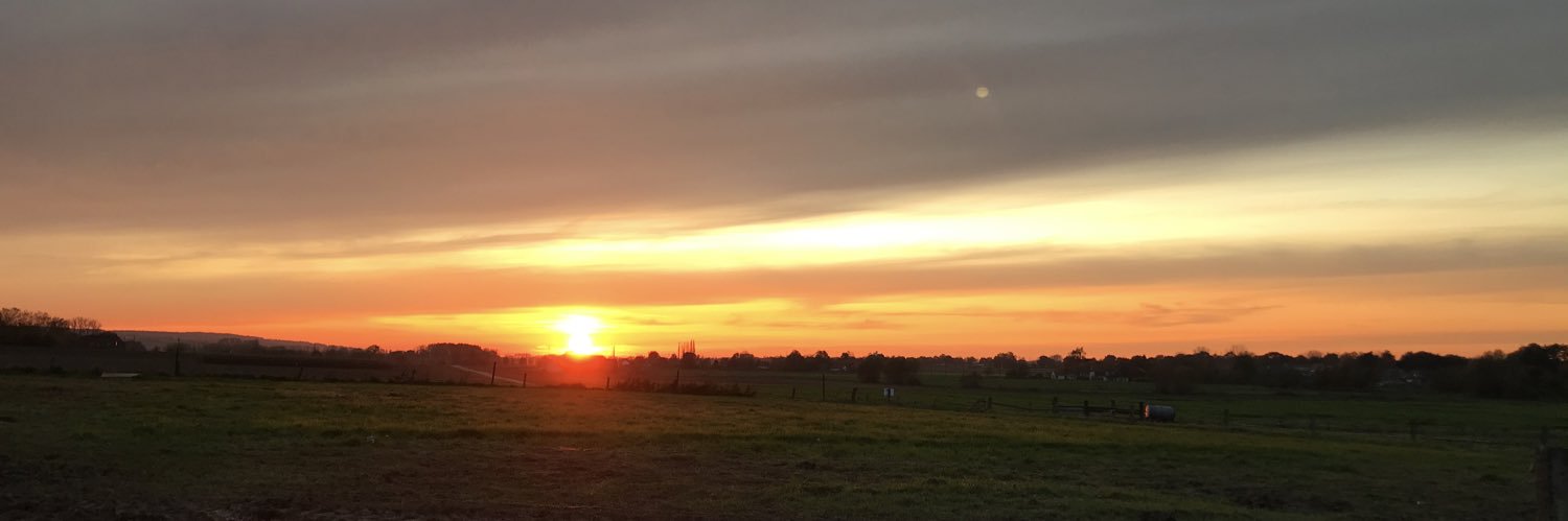 LisaBeatse's profile banner image
