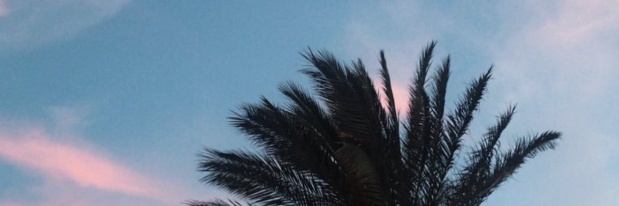 tafrmo's profile banner image