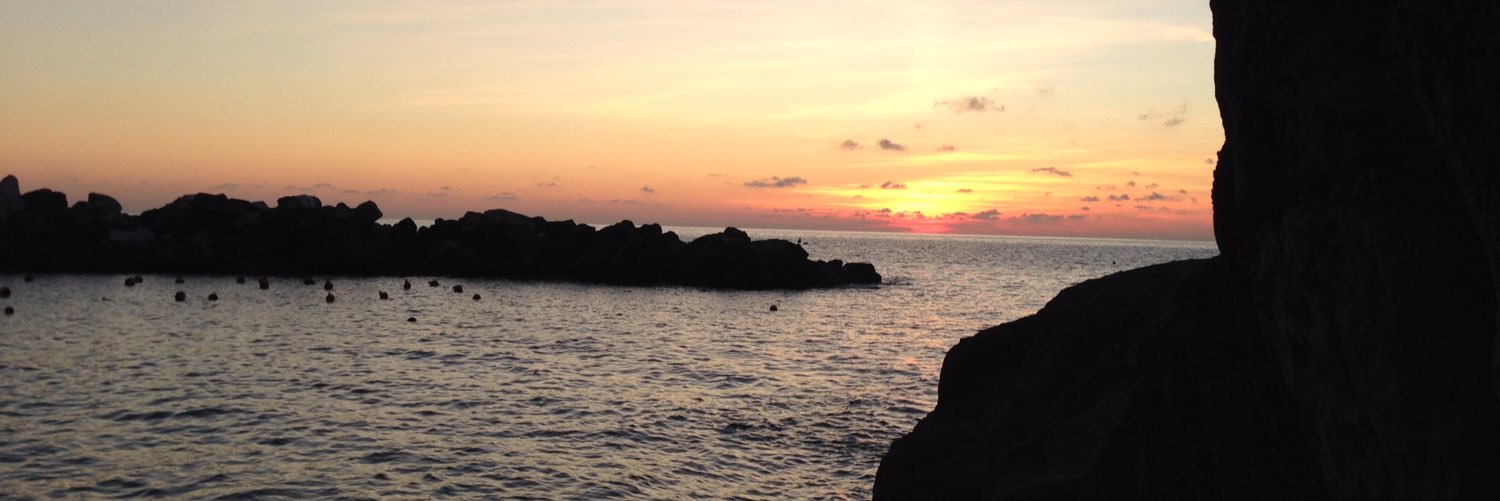 Sheila Webb-Halpern (she/her) banner