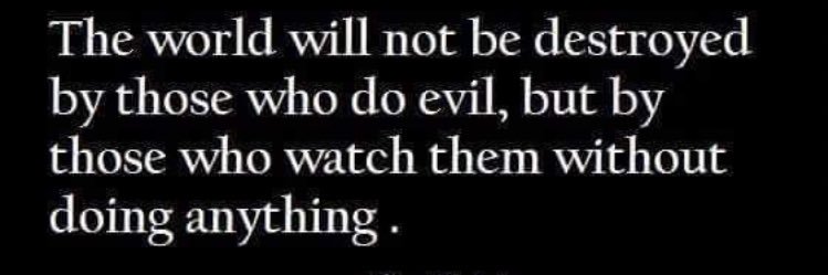 Observer ❄️ banner