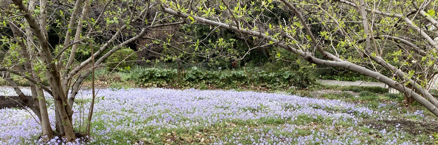 故郷求めて banner