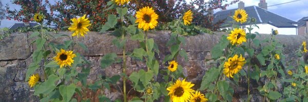 BainsfordPS Profile Banner