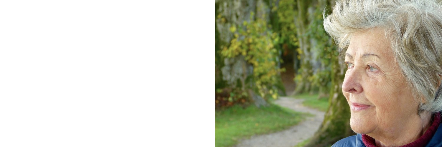 GNServ's profile banner image