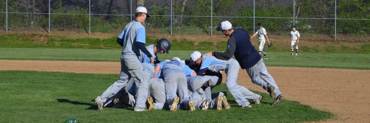 Burrell Baseball banner
