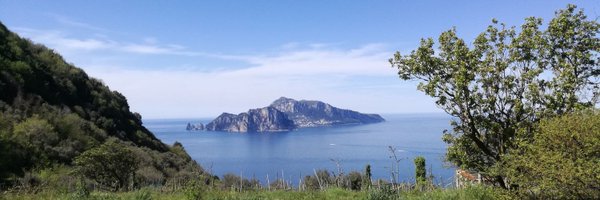 steffit7 Profile Banner