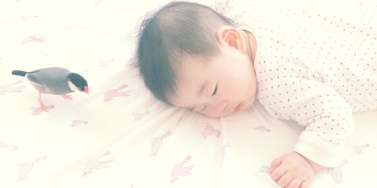 nj_jun's profile banner image