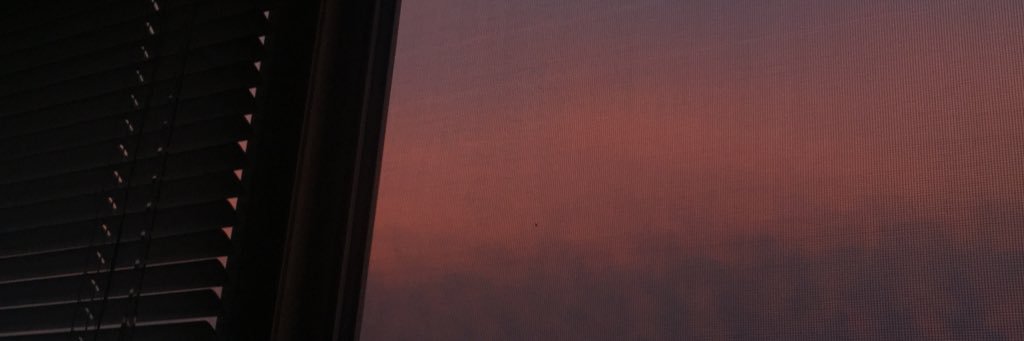 tatitimber's profile banner image