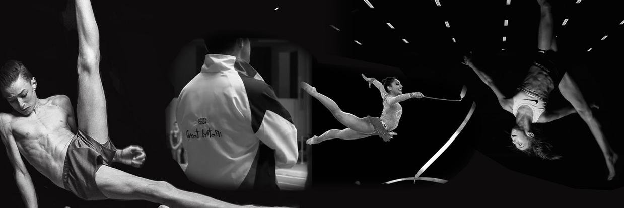 birmogc's profile banner image