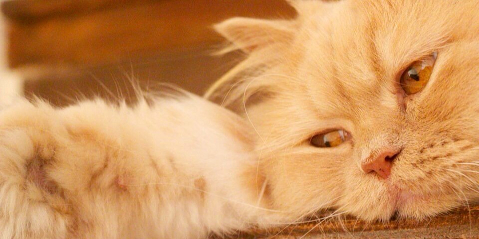 beonmymind's profile banner image