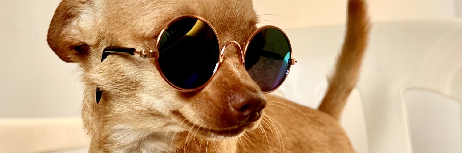 Breyner Stevens banner