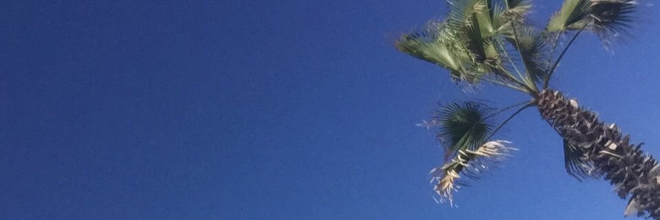 PROTarapaca's profile banner image