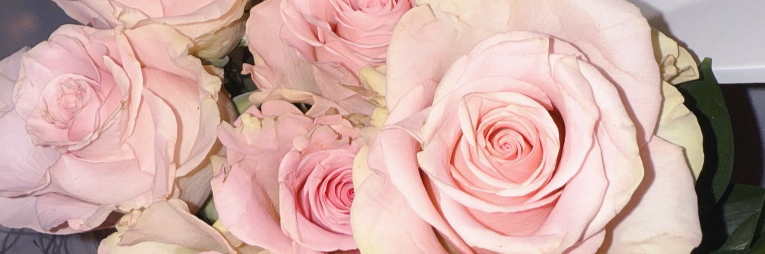 angel_akilan's profile banner image