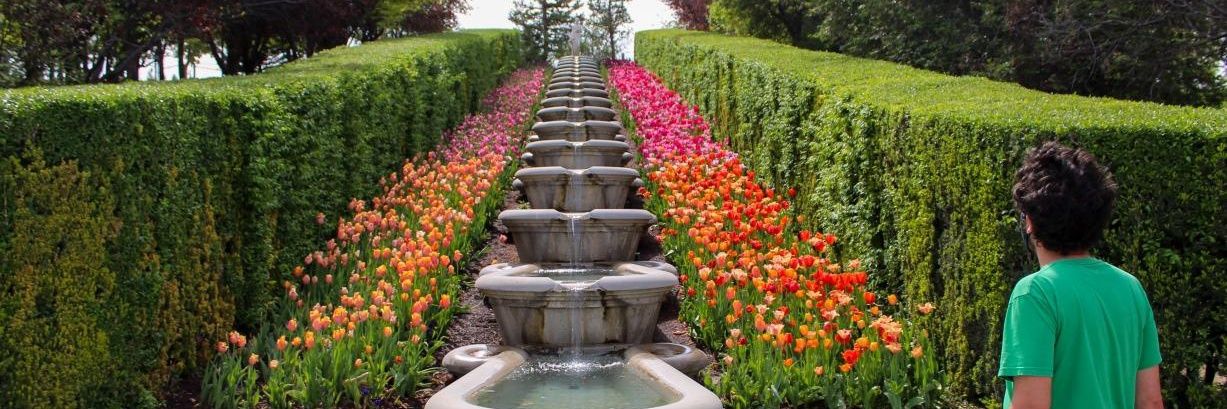 Michael_NKLW's profile banner image
