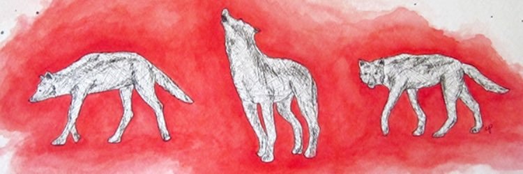 HSully24's profile banner image