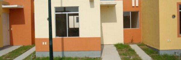 Cimbras Profile Banner