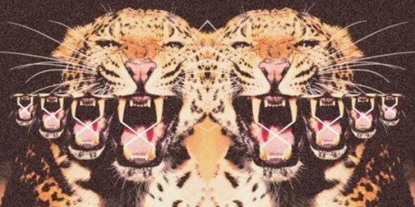 BeltramoSofi's profile banner image