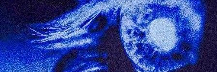 essence banner