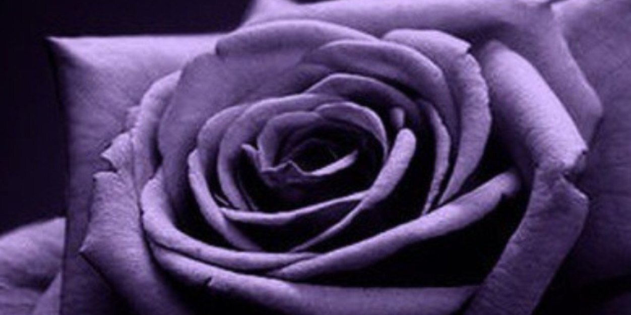 nadiah_2121's profile banner image