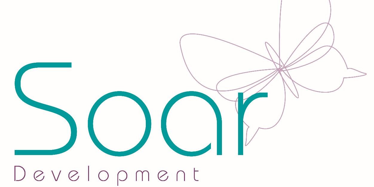 SoarDevelopment's profile banner image