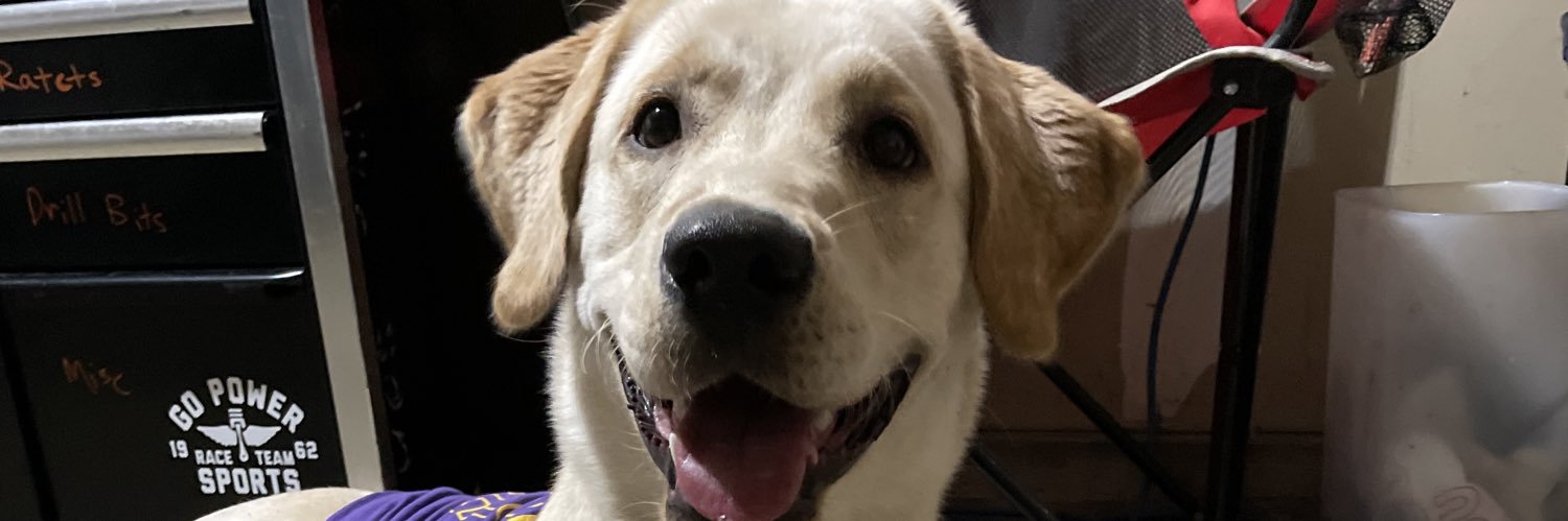 madisonteige's profile banner image
